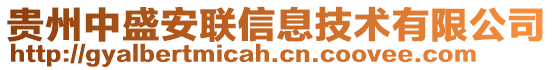 貴州中盛安聯(lián)信息技術(shù)有限公司