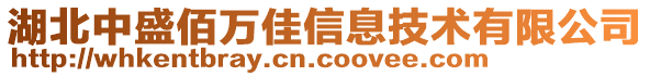 湖北中盛佰萬佳信息技術(shù)有限公司