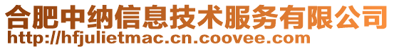 合肥中納信息技術服務有限公司