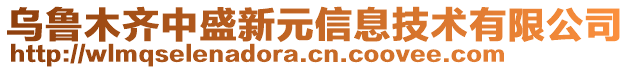 烏魯木齊中盛新元信息技術(shù)有限公司