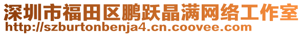 深圳市福田區(qū)鵬躍晶滿網(wǎng)絡(luò)工作室