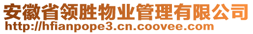 安徽省領(lǐng)勝物業(yè)管理有限公司