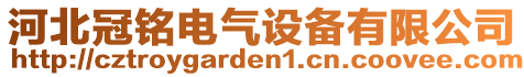 河北冠銘電氣設(shè)備有限公司