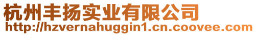 杭州豐揚實業(yè)有限公司