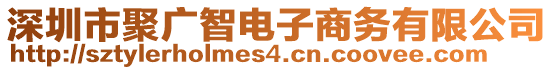 深圳市聚廣智電子商務(wù)有限公司