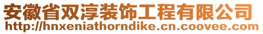 安徽省雙淳裝飾工程有限公司