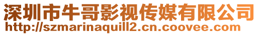 深圳市牛哥影視傳媒有限公司