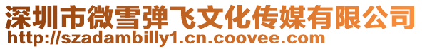 深圳市微雪彈飛文化傳媒有限公司