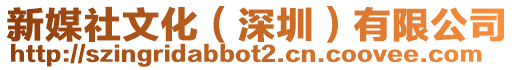 新媒社文化(深圳)有限公司