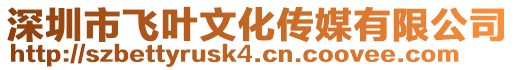 深圳市飛葉文化傳媒有限公司