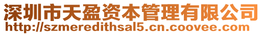深圳市天盈資本管理有限公司