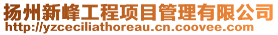 揚州新峰工程項目管理有限公司