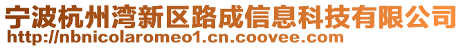 寧波杭州灣新區(qū)路成信息科技有限公司