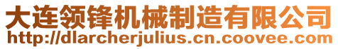 大連領(lǐng)鋒機(jī)械制造有限公司