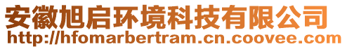 安徽旭啟環(huán)境科技有限公司