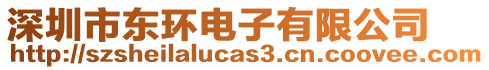 深圳市東環(huán)電子有限公司