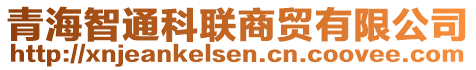 青海智通科联商贸有限公司