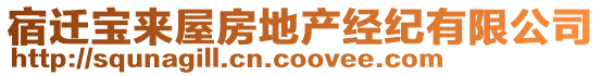 宿遷寶來(lái)屋房地產(chǎn)經(jīng)紀(jì)有限公司