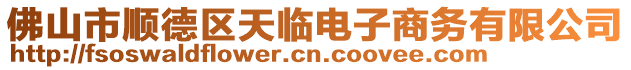 佛山市順德區(qū)天臨電子商務(wù)有限公司