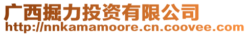 廣西掘力投資有限公司
