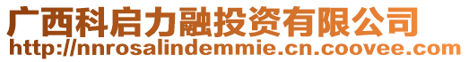 廣西科啟力融投資有限公司
