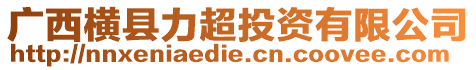 廣西橫縣力超投資有限公司