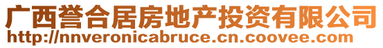 廣西譽合居房地產(chǎn)投資有限公司