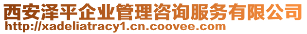西安澤平企業(yè)管理咨詢服務(wù)有限公司