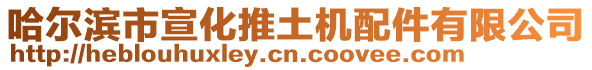 哈爾濱市宣化推土機(jī)配件有限公司