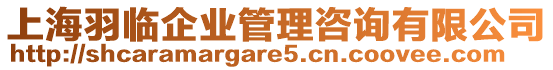 上海羽臨企業管理咨詢有限公司
