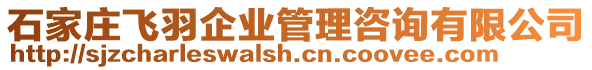 石家莊飛羽企業(yè)管理咨詢有限公司