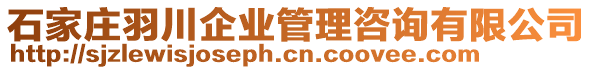 石家莊羽川企業(yè)管理咨詢有限公司