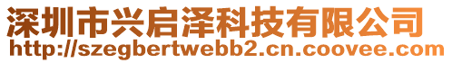 深圳市興啟澤科技有限公司