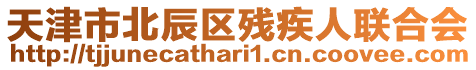 天津市北辰區殘疾人聯合會