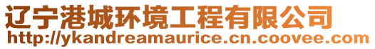 遼寧港城環(huán)境工程有限公司