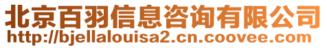 北京百羽信息咨詢有限公司
