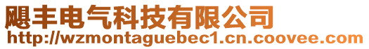 颶豐電氣科技有限公司