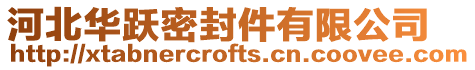 河北華躍密封件有限公司