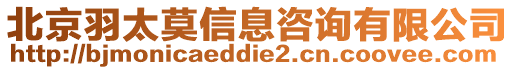 北京羽太莫信息咨詢有限公司