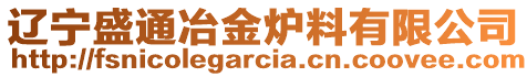 遼寧盛通冶金爐料有限公司