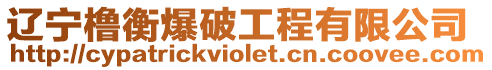 遼寧櫓衡爆破工程有限公司