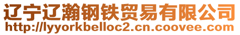 遼寧遼瀚鋼鐵貿易有限公司