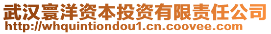 武漢寰洋資本投資有限責(zé)任公司