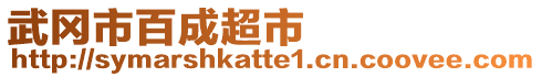 武岡市百成超市