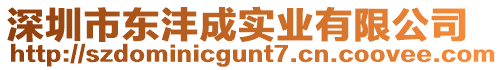 深圳市東灃成實(shí)業(yè)有限公司