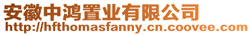 安徽中鴻置業(yè)有限公司