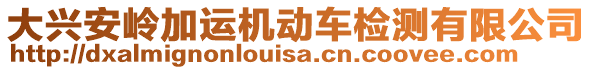 大興安嶺加運(yùn)機(jī)動(dòng)車檢測(cè)有限公司