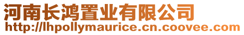 河南長鴻置業(yè)有限公司