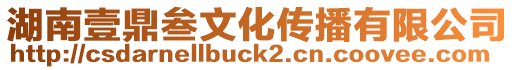 湖南壹鼎叁文化傳播有限公司