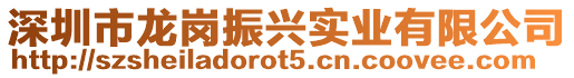 深圳市龍崗振興實業(yè)有限公司